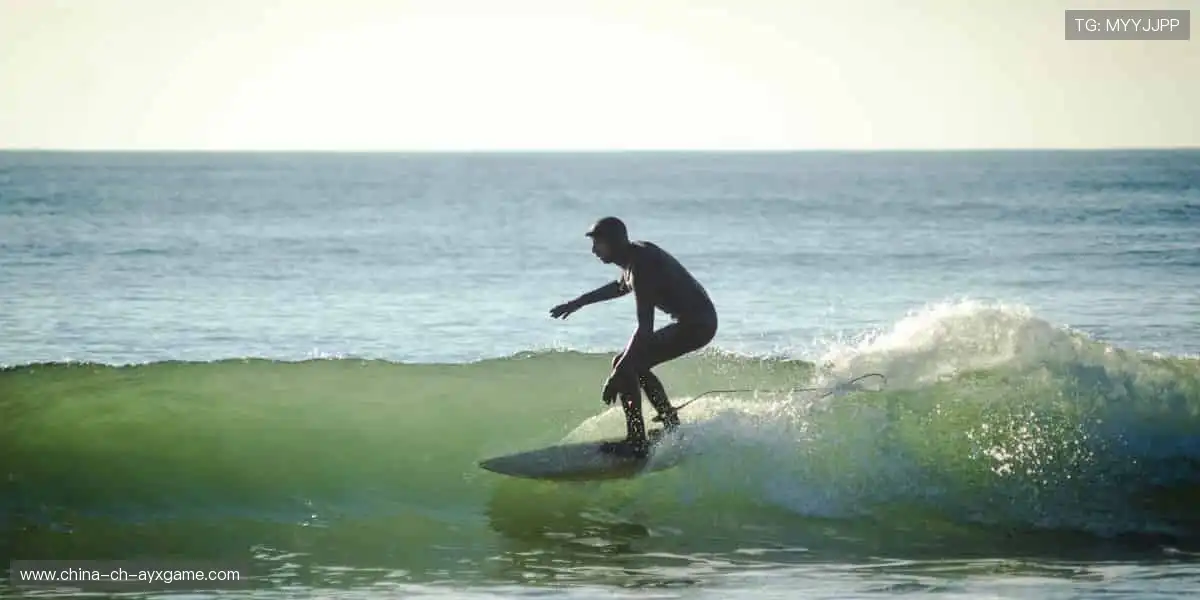 ⚽激情永不落幕，赛事官网带你感受纯粹的竞技魅力！